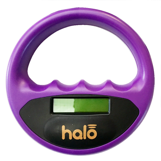 halo-purple